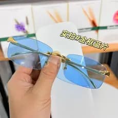 2026 novo estilo leopardo cabeça influenciador simples pequeno quadro óculos de sol Unisex condução Anti-ultravioleta mo