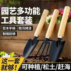 Conjunto de ferramentas de jardinagem enciclopédia conjunto de três peças flor levantando legumes suculento vaso pequena