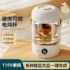 110V Taiwan vídeo inteligente ensopado elétrico copo de saúde portátil doméstico Multi-energia sopa mingau copo de guisa
