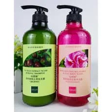 Senvina semente de chá Anti-caspa shampoo planta fofo refrescante controle de óleo shampoo rosa lavagem corporal estudan