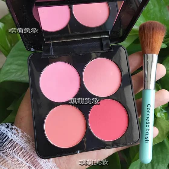 Pincel de blush grátis Paleta de blush multicolorida Performance Rouge Powder Destaque Sombra Contorno Paleta multifunci