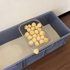 [Ferramenta útil para limpeza de maca de gato] Pá grande para areia de gato retrátil Caixa de areia para gatos Rack de f