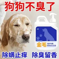 Golden Retriever Gel de banho dedicado para cães, Shampoo para banho de animais de estimação, esterilização líquida, des