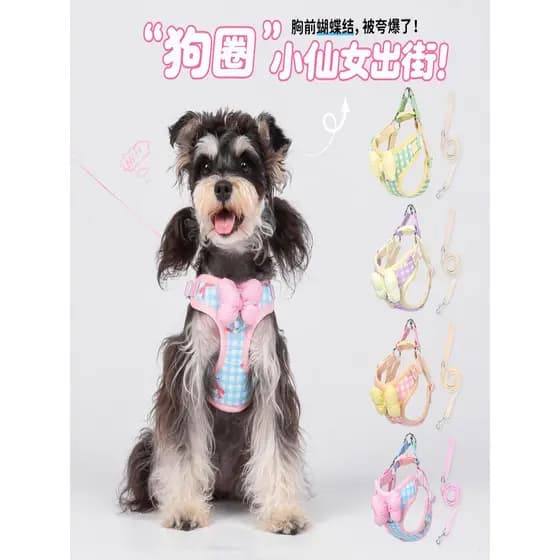 Cão de estimação cinta peito colete estilo arco Pomeranian cão trela pequeno médio tamanho cão Teddy Bichon trela do cão