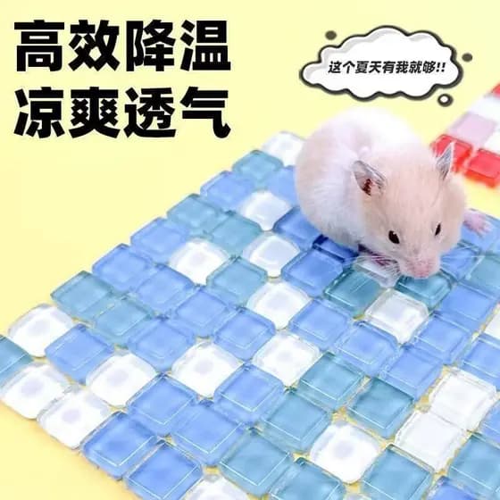 Almofada de gelo para Hamster, almofada de resfriamento para animais de estimação de verão, urso dourado, ramo de flor,