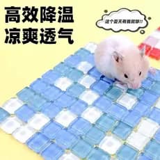 Almofada de gelo para Hamster, almofada de resfriamento para animais de estimação de verão, urso dourado, ramo de flor,