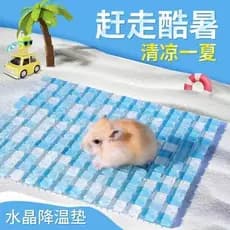 Almofada de gelo para Hamster, almofada de resfriamento para animais de estimação de verão, urso dourado, ramo de flor,