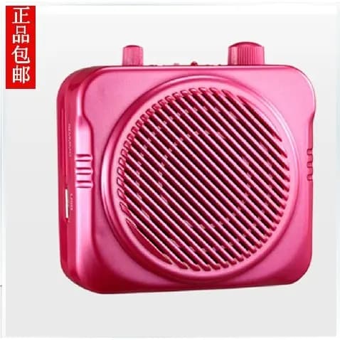 Classe tesouro DS-20T amplificador professor ensino pequena abelha amplificador cintura pendurado Plug U disco cartão al