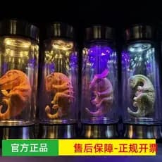 Jarra de embrião de dinossauro transfronteiriça, jarra luminosa, decoração, jarra de embrião de luz colorida, pode ser u