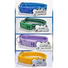 Kit 11 Coleiras Para cães e Gatos Com Plaquinha de Identificação GRAVADA!!!