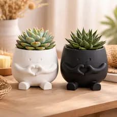 Vasinho para Suculenta e Cacto | Vaso Decorativo para Suculenta Fofo Vasinho com Carinha