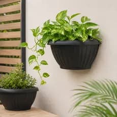 Kit 6 Vasos para Plantas Grego de Parede Meia Lua 2,8 Litros Decoração Moderna para Plantas