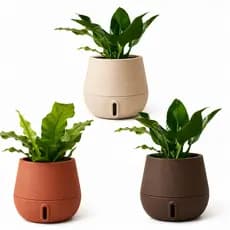 Vaso Para Plantas Brota Cuia 32x40 Até 90 Dias sem Regar