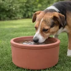 Comedouro Bebedouro de Barro Pet Cães e Gatos Antibacteriano Natural Água Fresca Premium