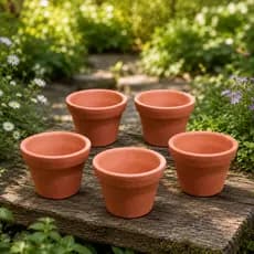 Kit Vasos Barro 5 Pçs jardim Plantas Naturais Orquidea Cacto Conjunto Decoração Cachepô Pequeno