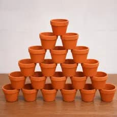 Kit Vasos De Barro 25 Un Jardim Plantas Naturais Para Suculentas Cactos Lembrancinhas  Decoração