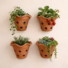 Kit Babado 4 Vasos Barro Plantas Naturais Jardim c/ Furos