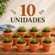 Vasos de Barro Kit 10 Unidades Plantas Naturais Jardim Lembrancinha Pequeno Cactos Suculentas Plantar