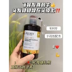 Zhuolanya Ginger Shampoo Fixador de Cabelo Shampoo Controle de Oleosidade Ginger King Sem Silicone 353ml