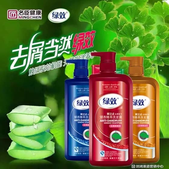 Guangdong Famoso Chen Efeito Verde Ginkgo Caspa Anti-Coceira Shampoo Caspa Stand-Up Shampoo 750g Suave Shamp