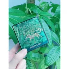 Genuíno quatro estações história chita floresta almofada de ar BB creme brilho modifica o tom da pele invisível poro fix