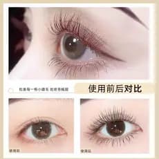 Xiaohongshu recomendado rímel de venda quente à prova dwaterproof água longo ondulação Base grossa cor não manchado femi