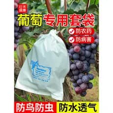 Saco especial para saco de uva anti-insetos anti-pássaros frutas à prova dwaterproof água capa de chuva uva lótus nevoei