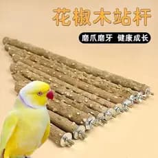 Papagaio garra moagem pé pólo pimenta Natural madeira pássaro em pé vara Xuanfeng Starling tordo mordida brinquedo moage