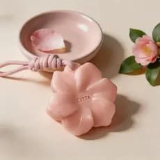 CITTA Algas Camélia Fragrância Peça de Cera Ar Fresco Guarda-roupa Quarto Banheiro Fragrância Pingente Presente