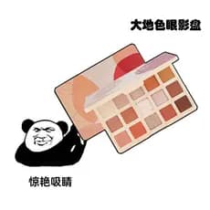 Glitter pérola pó fino 15 cores fosco All-Match terra cor paleta de sombras terra marrom sombra de olho