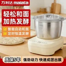 Loja principal oficial Wanlida Máquina automática de macarrão 5 litros Macarrão de cabelo Máquina multifuncional Máquina