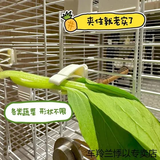 Xuanfeng peônia pele de tigre choco osso quadro papagaio cesta de frutas cesta de alimentação pendurado cesta multifunci