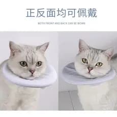 Suprimentos para gatos