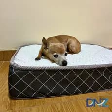 cama colchão para cachorro 70cmX50cmX8cm