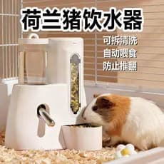 Fonte potável para cobaia, alimentador automático, bola de rolo, garrafa de água integrada, cobaia, dedicado, animal de