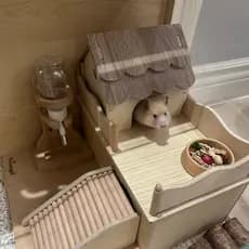 Hamster esconder casa urso dourado ninho de dormir quatro estações Universal de madeira pequena casa resistente à mordid