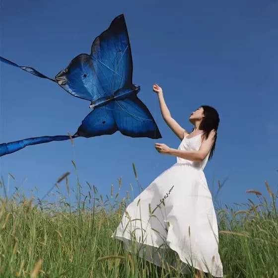 Kite borboleta especial para adultos, adultos de alta qualidade, brisa portátil, fácil de voar, aparência alta, grande