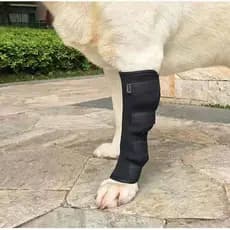 Joelheira para cachorro, capa protetora para cotovelo de animais de estimação, capa para perna, esportes ao ar livre, fr