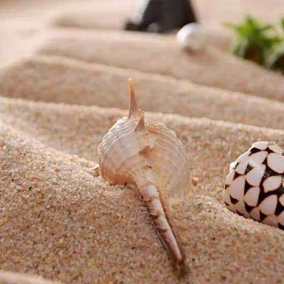Crianças Brincam Areia Bebê Praia natural Piscina De Fina sa