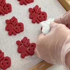 Ano novo Fuzi biscoito molde manteiga moagem primavera bênção macarrão diy Fondant bolo pão cozido no vapor ferramentas