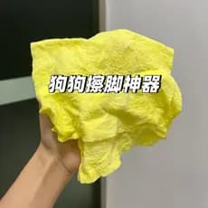 Cão limpar pé ferramenta útil absorver água de secagem rápida sem fiapos andando cão Pet limpeza preguiçoso pano limpeza