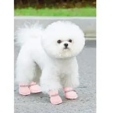 Bichon sapatos especiais não caem fora dos pés sandálias de verão cães pequenos verão pé cobre Outing sapato cobre Anti-
