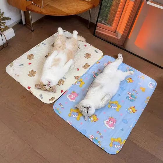 Tapete para animais de estimação, gato, cachorro, quatro estações, Universal, antiaderente, macio, amigável à pele, lavá