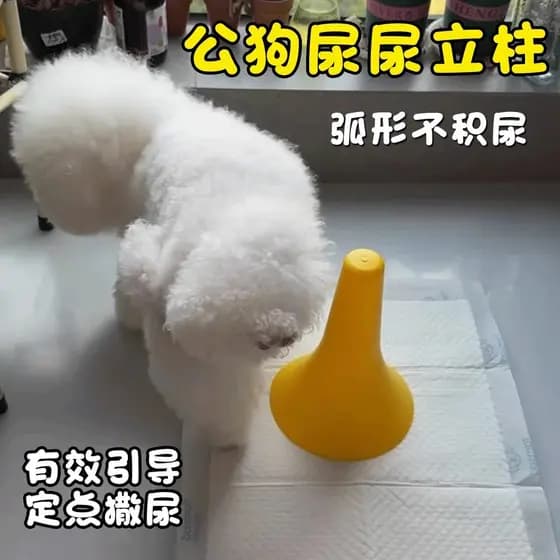 Coluna de xixi para cachorro masculino, guia de xixi para cachorro, coluna puxar xixi, ferramenta útil, guia para f