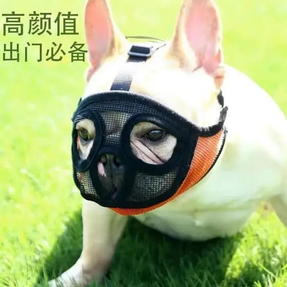 Amazon Pug cão focinho francês luta máscara de boca curta cão anti-mordida anti-comer máscara capa máscara de filhote de