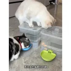 Dispensador de água para gatos, desconectado, alimentador automático de água de grande capacidade para animais de estima