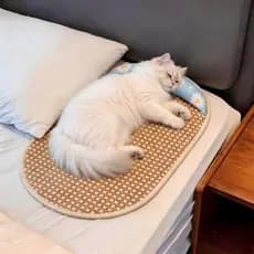Almofada de gelo para animais de estimação, almofada legal para dormir, canil, almofada legal, resfriamento de verão, fe