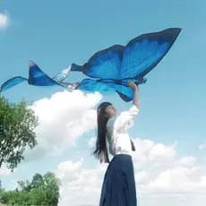 Kite borboleta especial para adultos, adultos de alta qualidade, brisa portátil, fácil de voar, alta aparência, grande q
