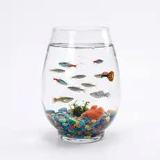 Aquário Vaso de Vidro Multifuncional para Arranjos Florais, Mini Jardins e Decoração de Mesa