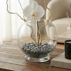 Vaso de Plantas de Vidro 1,4Litros Terrário Velas Decoração Casamento Aquario Redondo